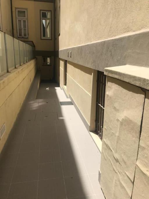 Torrinha'S Backyard Apartment Porto Exterior photo
